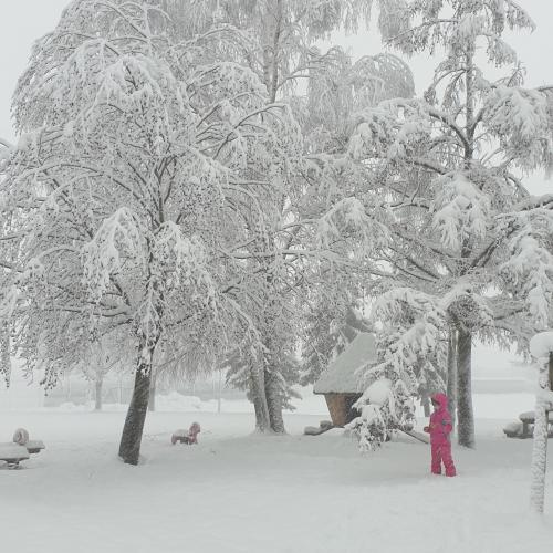 Spielplatz- VS St. Margarethen im Winter
