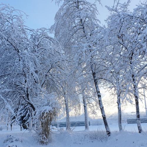 Spielplatz- VS St. Margarethen im Winter