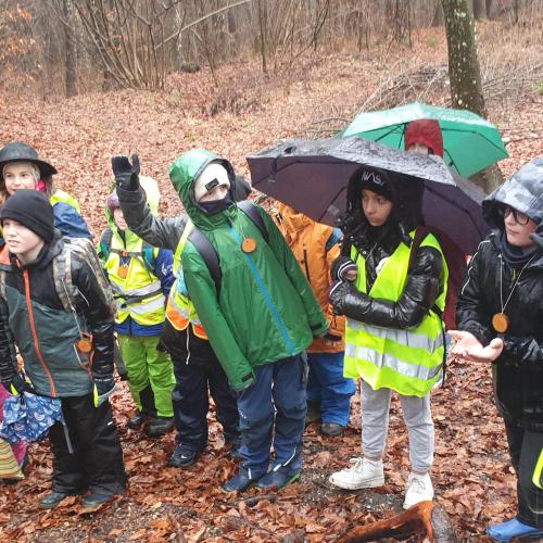 Pädagogischer Waldtag
