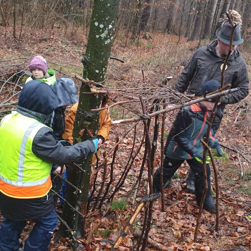Pädagogischer Waldtag