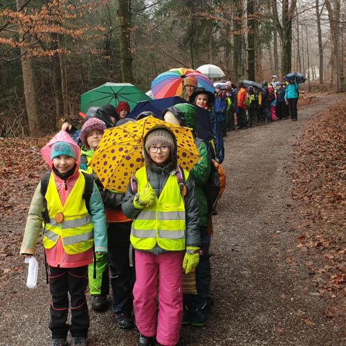 Pädagogischer Waldtag
