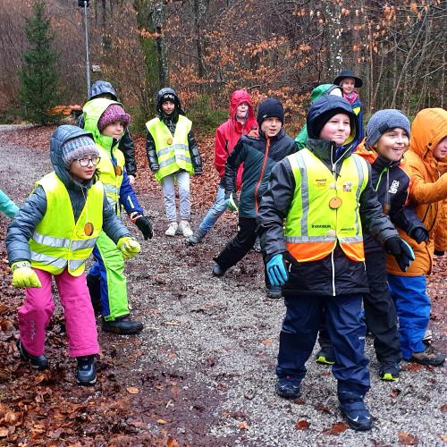 Pädagogischer Waldtag