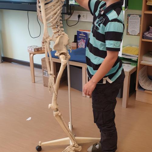 Frau Dr. Cornelia Piock- unser Körper