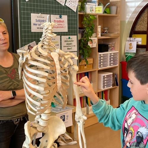 Frau Dr. Cornelia Piock- unser Körper