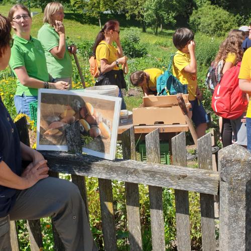 Regionaltag in Rotholz- 4A und 4B- 2023