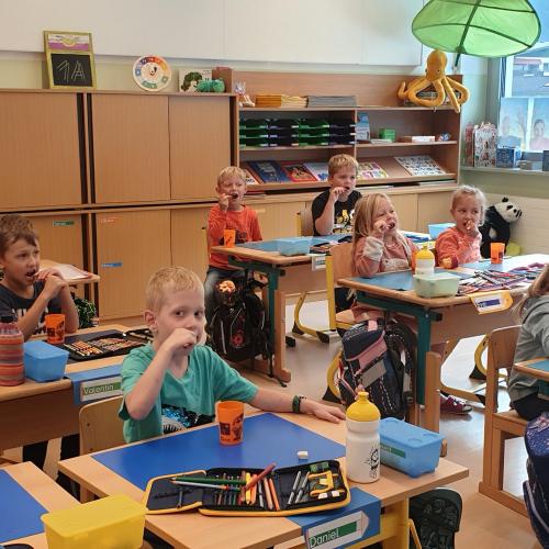 Zahnprophylaxe an der Schule