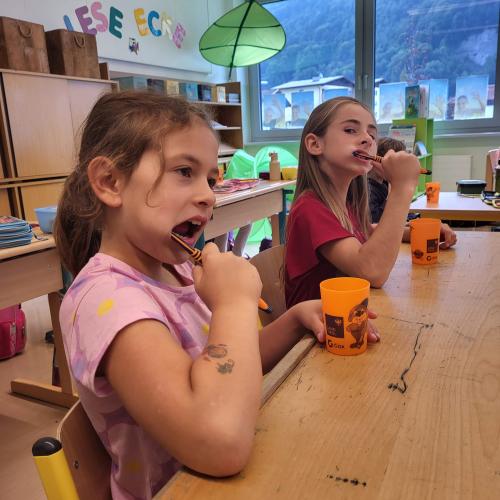 Zahnprophylaxe an der Schule