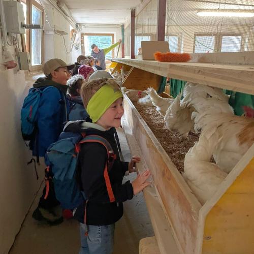 Besuch am Bauernhof in Buch bei Fam Heim- Mai2024