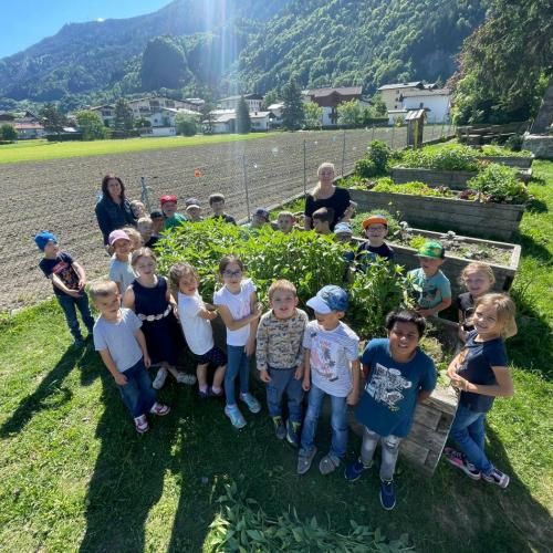 Im Schulgarten- Gemüse setzen der 1. Klassen
