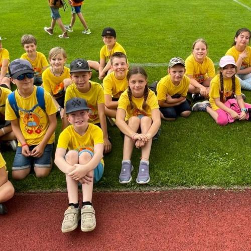 Helfi Olympiade - 3. Klasse 2024