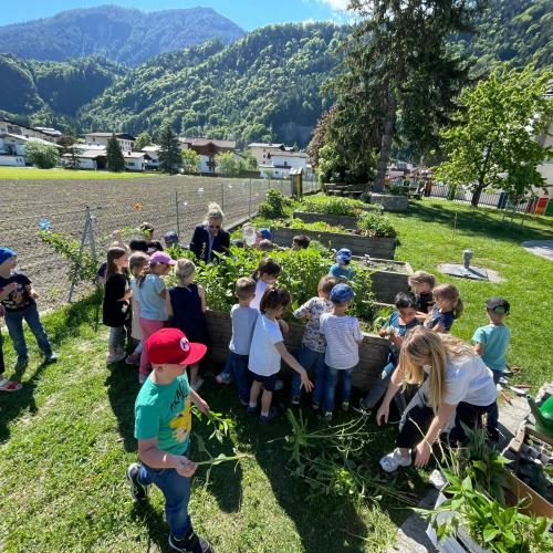 Im Schulgarten- Gemüse setzen der 1. Klassen