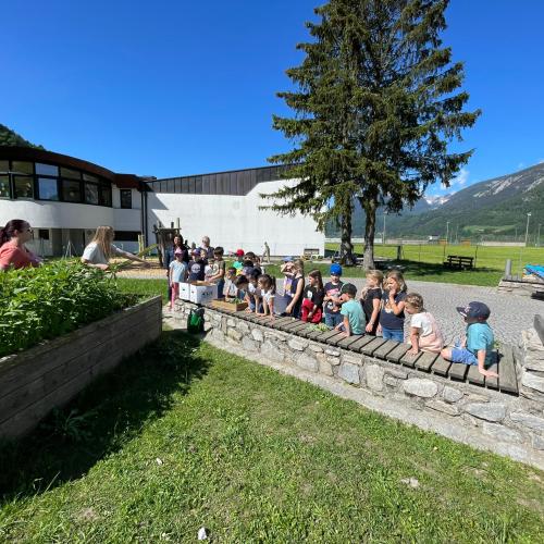 Im Schulgarten- Gemüse setzen der 1. Klassen