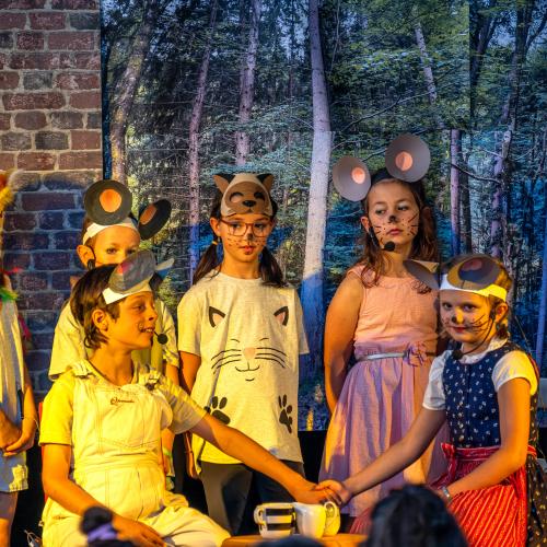 Schulmusical "Mausical"- Juni 2024
