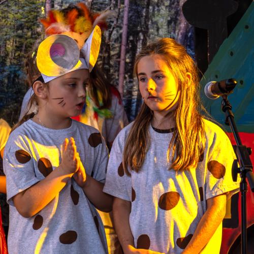 Schulmusical "Mausical"- Juni 2024