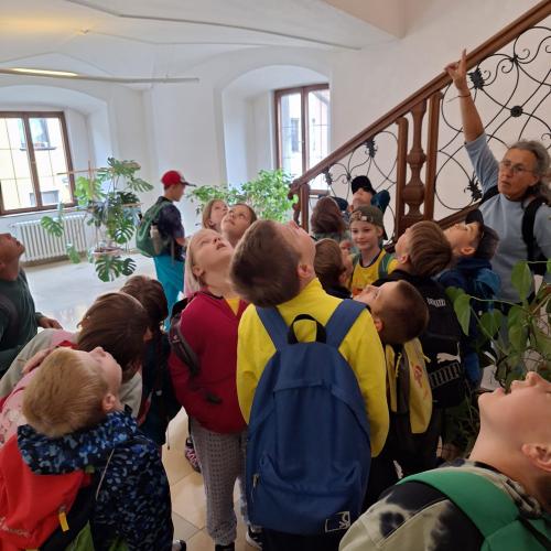 Bezirkshauptstadt Schwaz- 3. Klasse- 2024