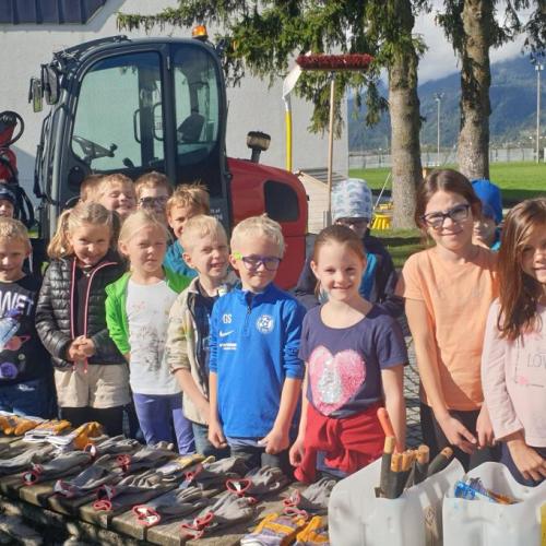 Ernte im Schulgarten 2024
