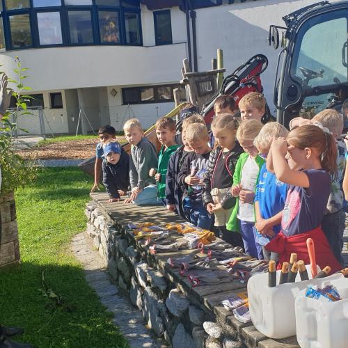 Ernte im Schulgarten 2024