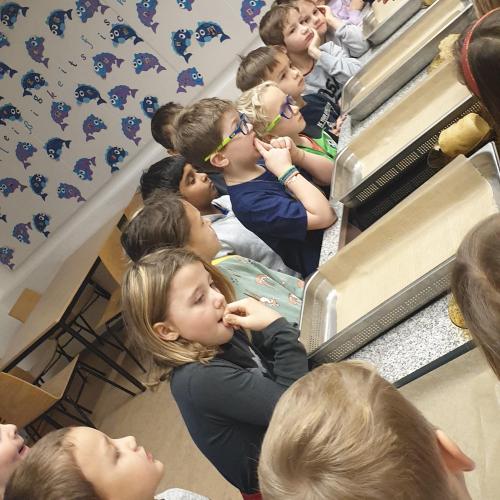 Weihnachtsbäckerei- 2. Klassen 2024