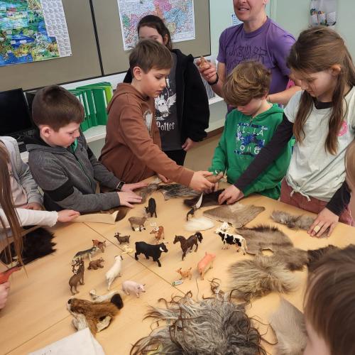 "Ötzi"- Workshop- 3. Klassen- 2025