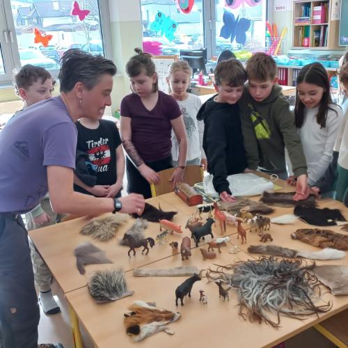"Ötzi"- Workshop- 3. Klassen- 2025