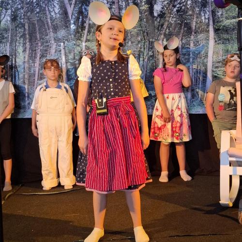 Schulmusical "MAUSICAL 2"- 2025