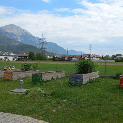 Gartenbau- 2025