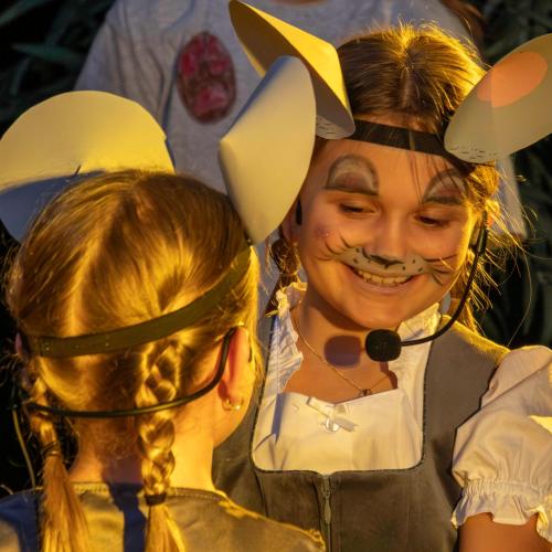 "Mausical 2"- Aufführungen 2025