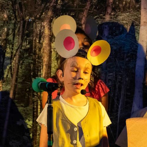"Mausical 2"- Aufführungen 2025
