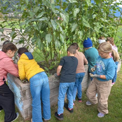 Gartenbau- 2. Klassen- 2025