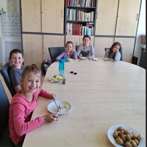 Gartenbau- 2. Klassen- 2025