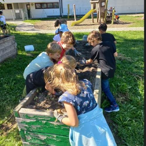 Gartenbau- 2. Klassen- 2025