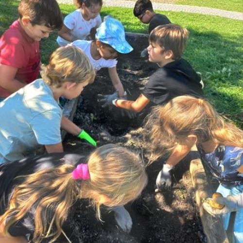 Gartenbau- 2. Klassen- 2025