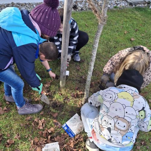 Gartenbau im Herbst 2025