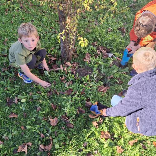 Gartenbau im Herbst 2025