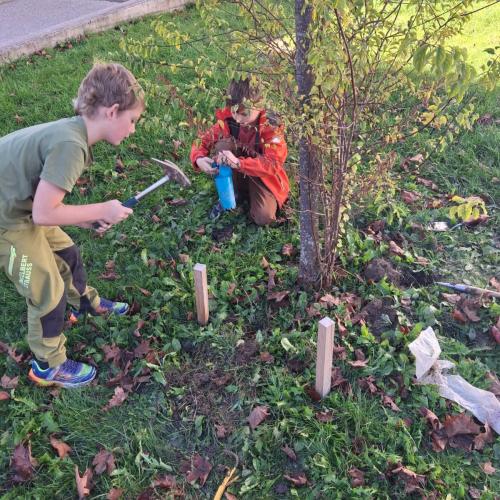 Gartenbau im Herbst 2025