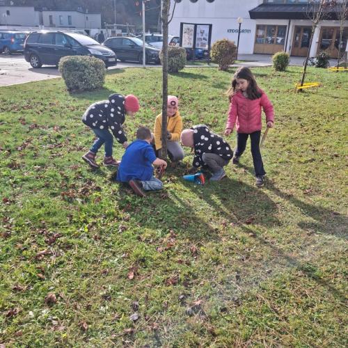 Gartenbau im Herbst 2025