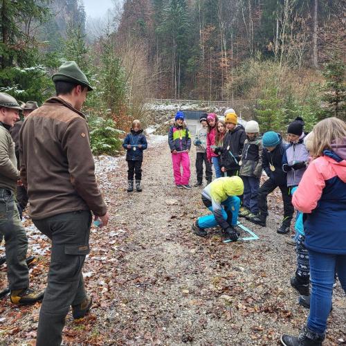 Wald,- und Wildführung mit den Berufsjägern der LLA Rotholz 2026