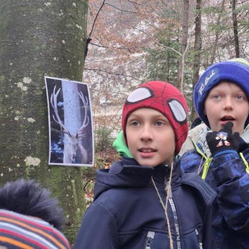 Waldtag mit den Berufsjägern der LLA Rotholz- 2026