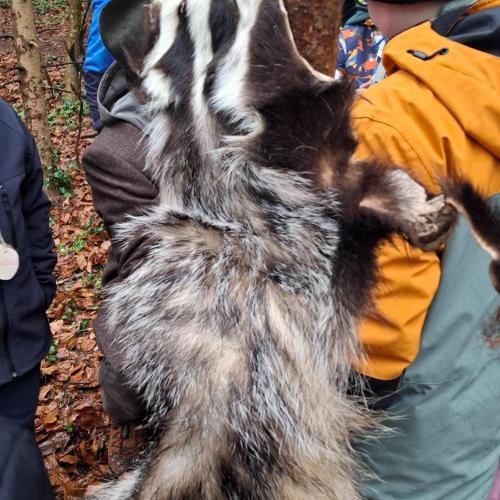 Waldtag mit den Berufsjägern der LLA Rotholz- 2026