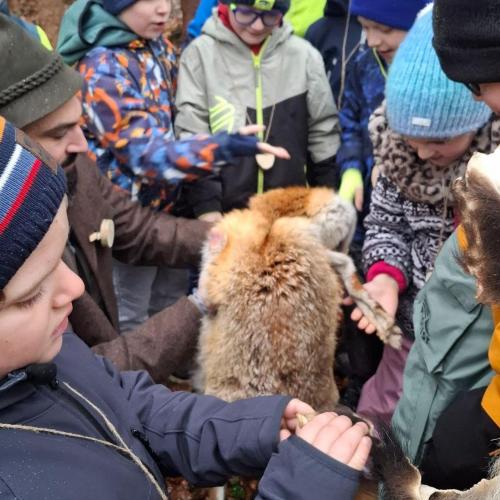 Waldtag mit den Berufsjägern der LLA Rotholz- 2026