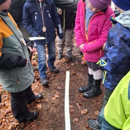 Waldtag mit den Berufsjägern der LLA Rotholz- 2026