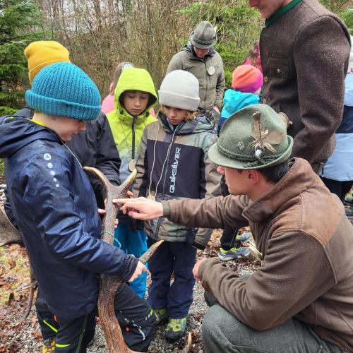 Waldtag mit den Berufsjägern der LLA Rotholz- 2026