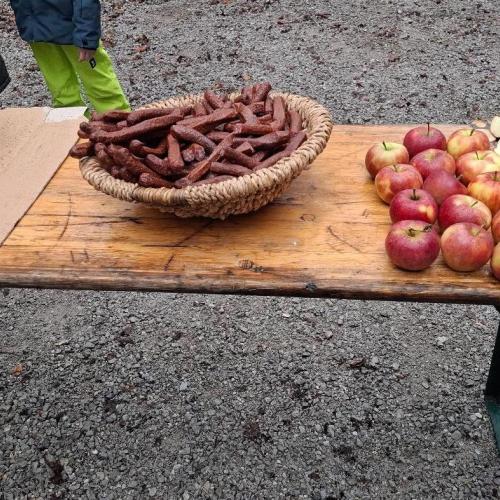 Waldtag mit den Berufsjägern der LLA Rotholz- 2026