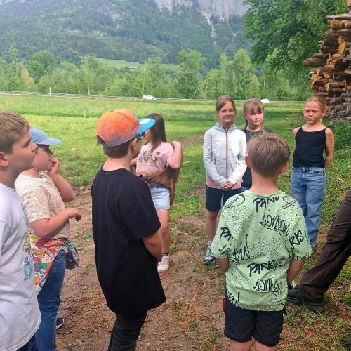 "Schule am Bauernhof" beim Dornachhof der Fam. Heim in Buch- 2026