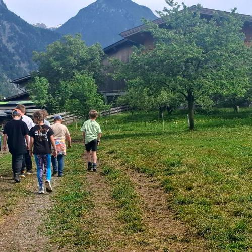 "Schule am Bauernhof" beim Dornachhof der Fam. Heim in Buch- 2026