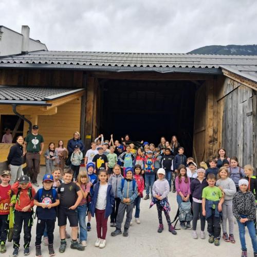 Schule am Bauernhof-2. und 3. Klassen 2026