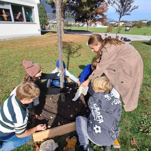 Blumenzwiebeln setzen- 4. Klasse im Herbst 2026