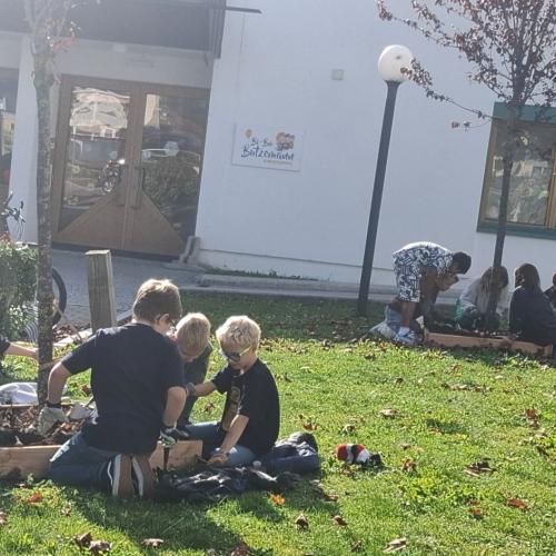 Blumenzwiebeln setzen- 4. Klasse im Herbst 2026