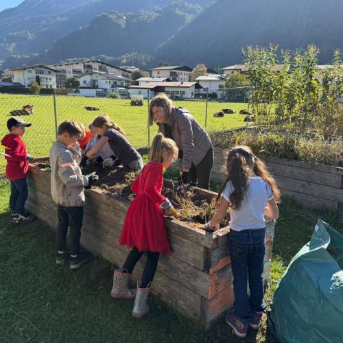 Schulgarten im Herbst 2026- jäten und setzen von Pflanzen