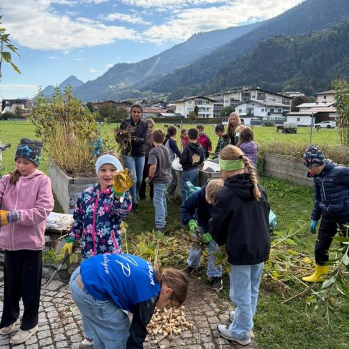 Schulgarten im Herbst 2026- jäten und setzen von Pflanzen